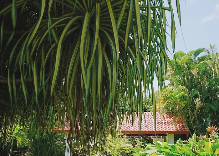 Hotel Del Sol Boutique Coco