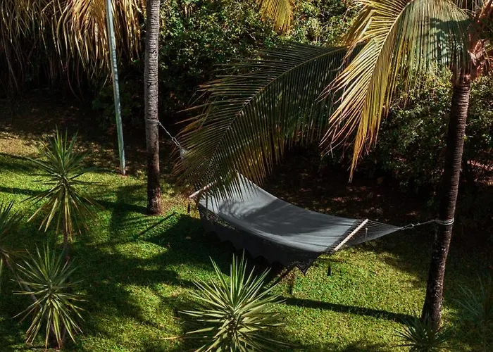 Hotel Del Sol Boutique