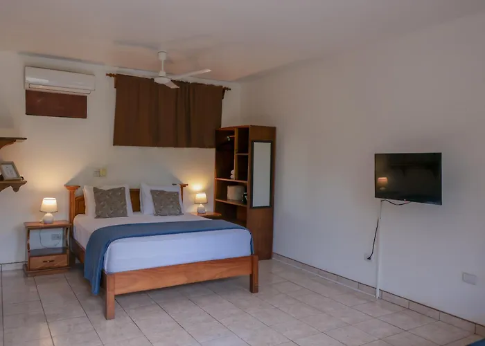 Hotel Del Sol Boutique Coco