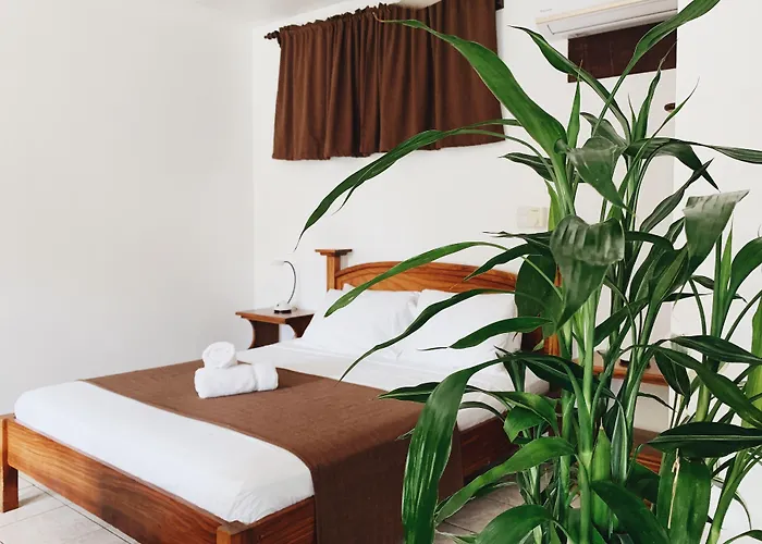 Del Sol Boutique Hotel 3*